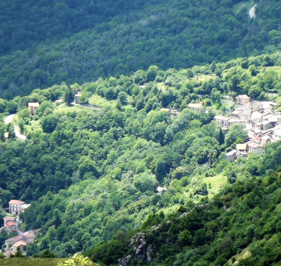 Caprauna